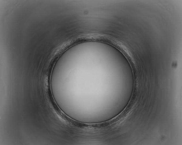 X0000097670633200802290947