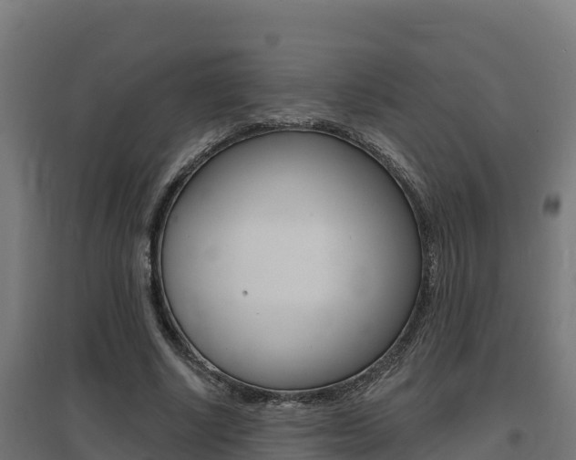 X0000097670634200802290947