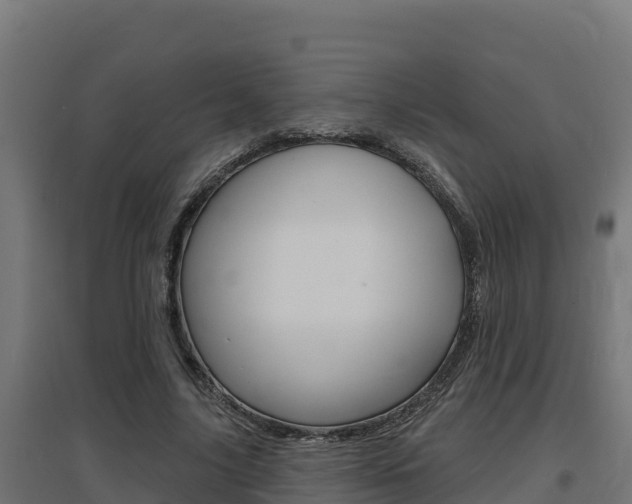 X0000097670635200802290947