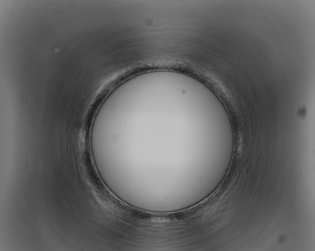 X0000097670636200802290947