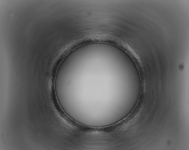 X0000097670637200802290947