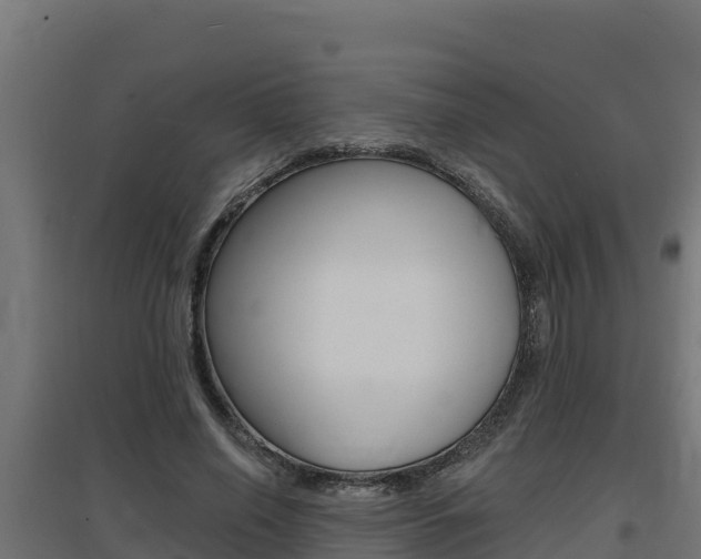 X0000097670638200802290947
