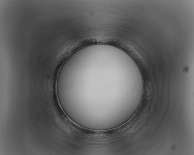 X0000097670639200802290947