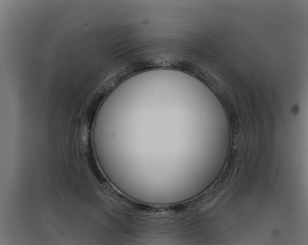 X0000097670646200802290947