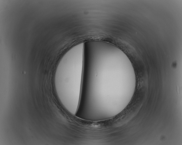 X0000097670647200802290947