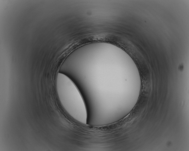 X0000097670648200802290947