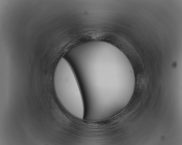 X0000097670650200802290947