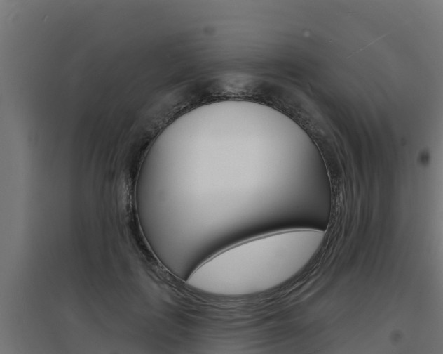 X0000097670651200802290947