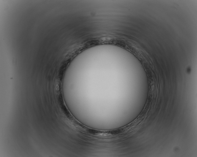 X0000097670654200802290947
