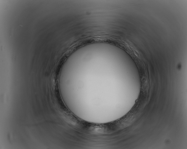 X0000097670655200802290947