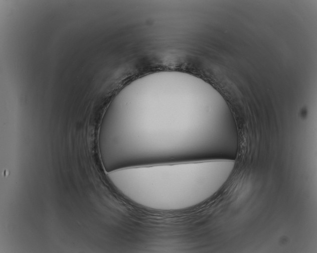 X0000097670656200802290947