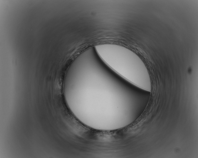 X0000097670661200802290947