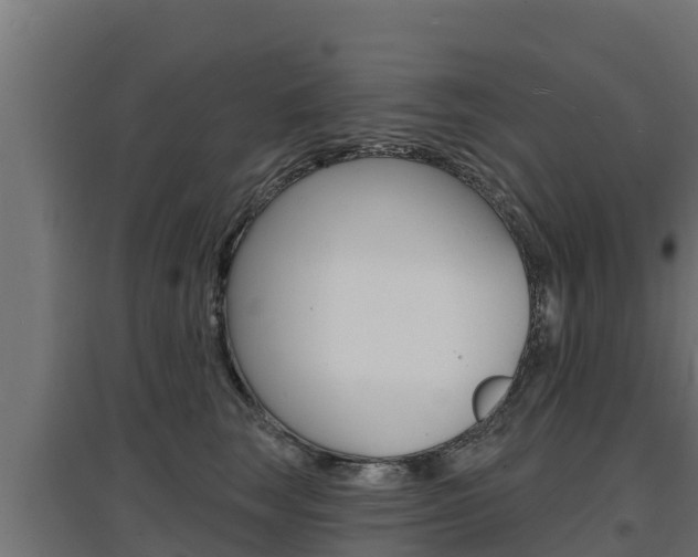 X0000097670663200802290947