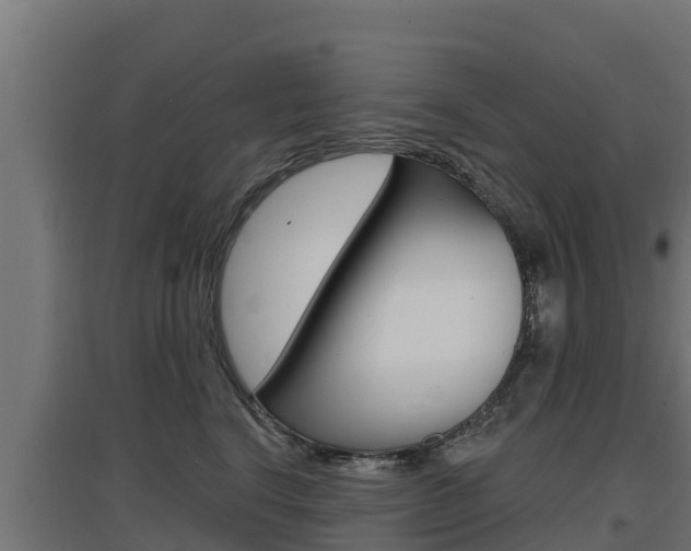 X0000097670664200802290947