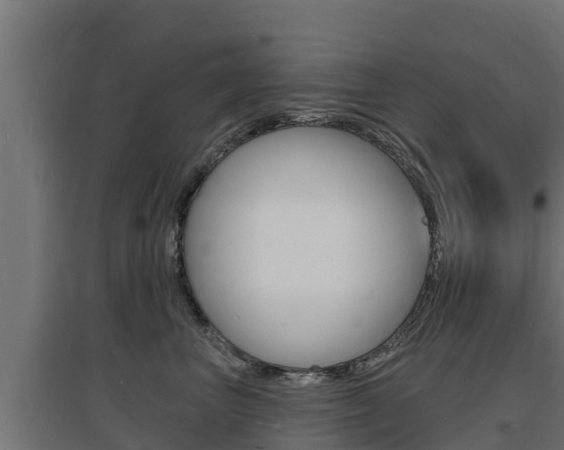 X0000097670667200802290947