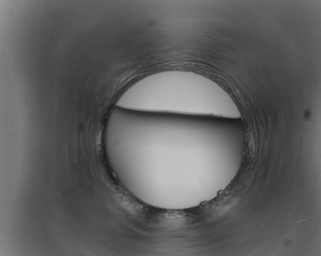 X0000097670668200802290947