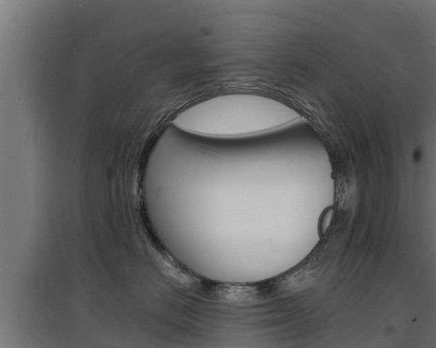 X0000097670670200802290947