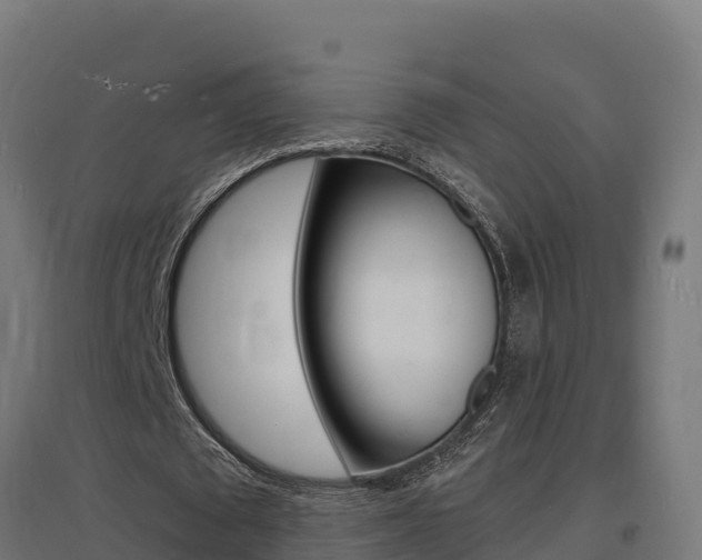X0000097670673200802290946