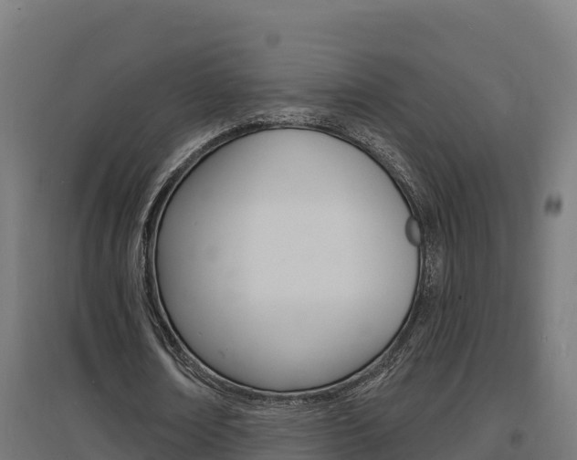 X0000097670674200802290946