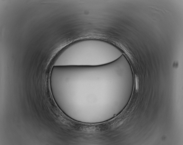 X0000097670675200802290946