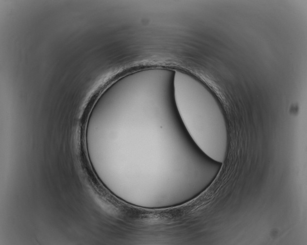 X0000097670678200802290946