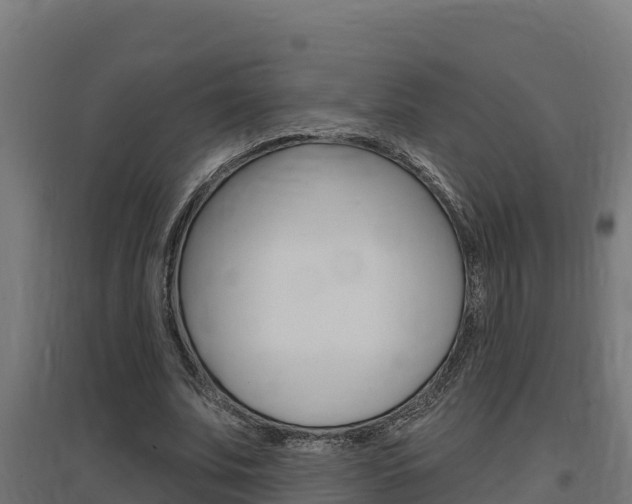 X0000097670679200802290946