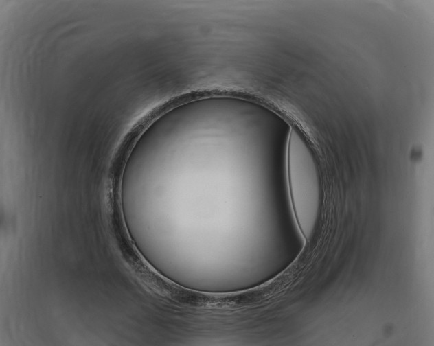 X0000097670680200802290946