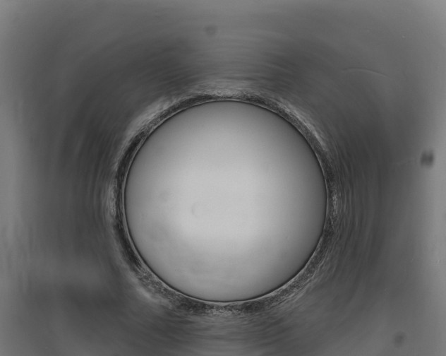 X0000097670682200802290946
