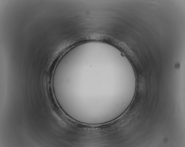 X0000097670683200802290946