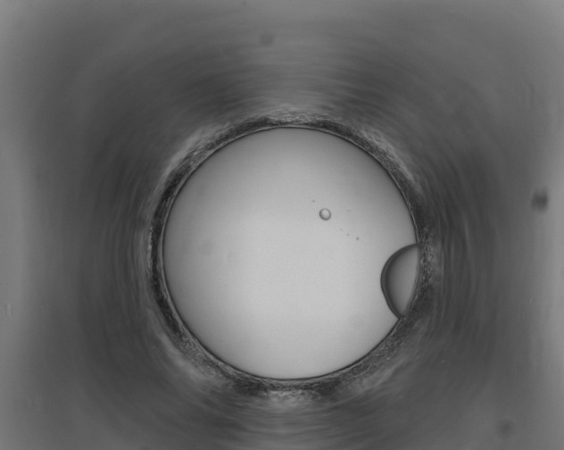 X0000097670686200802290946
