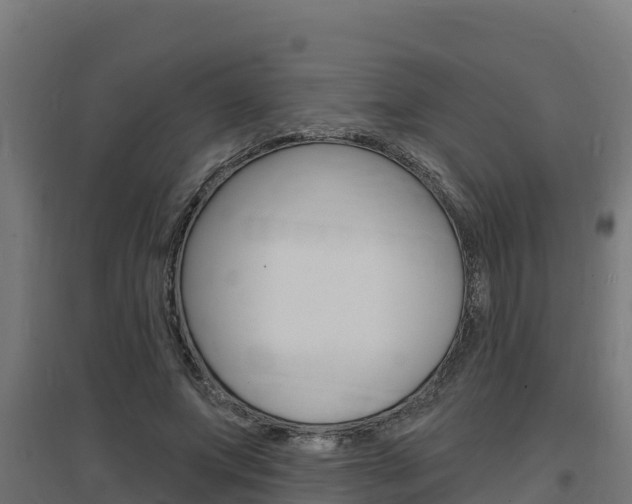 X0000097670687200802290946