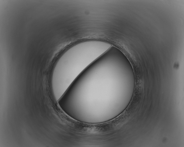 X0000097670688200802290946