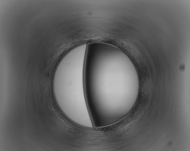 X0000097670689200802290946