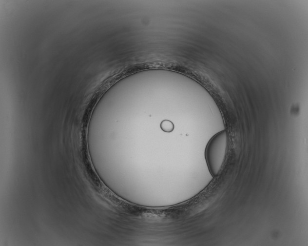 X0000097670690200802290946