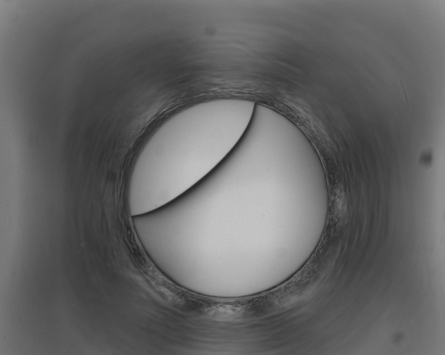 X0000097670691200802290946