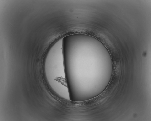 X0000097670692200802290946