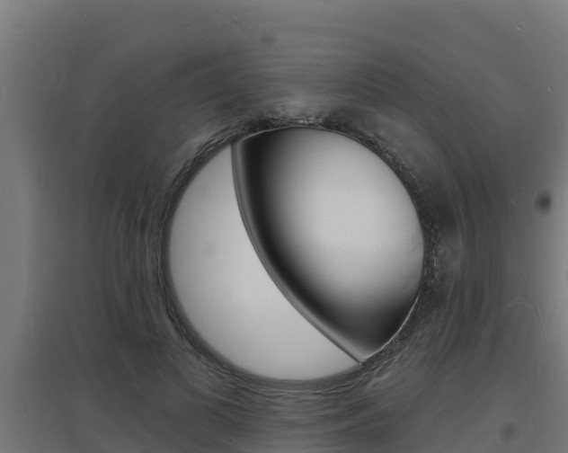 X0000097670693200802290946