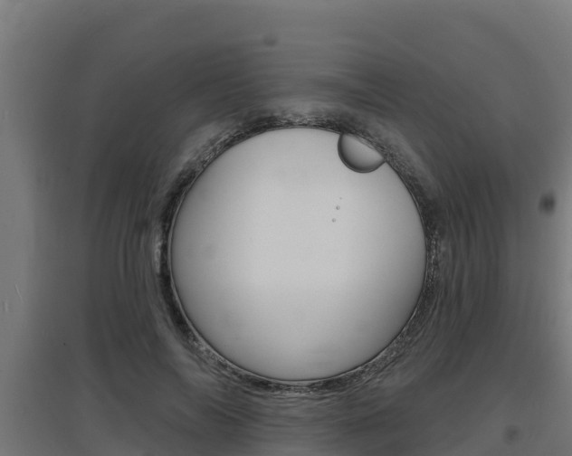 X0000097670694200802290946