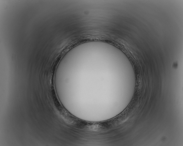 X0000097670695200802290946