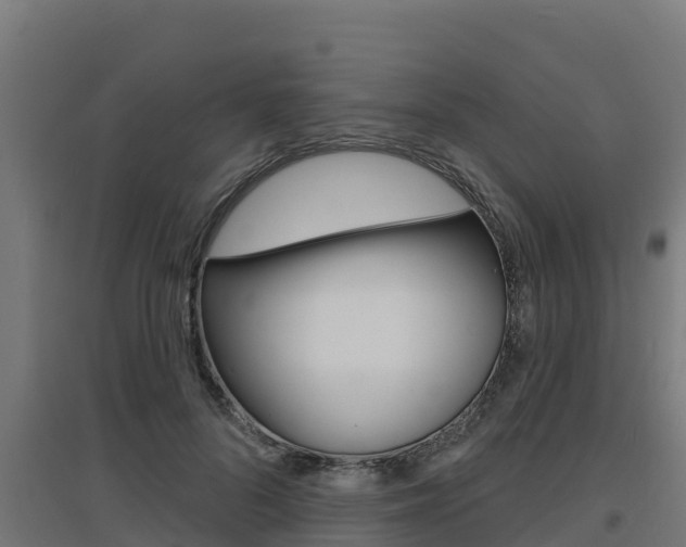 X0000097670696200802290946
