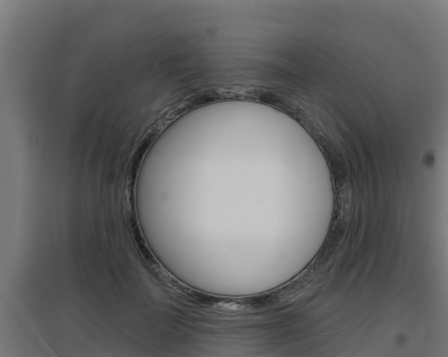 X0000097670699200802290946