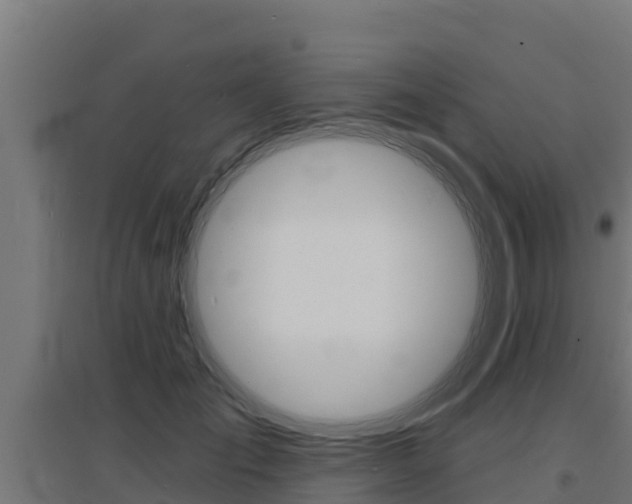 X0000097670701200802290946