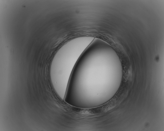 X0000097670704200802290946