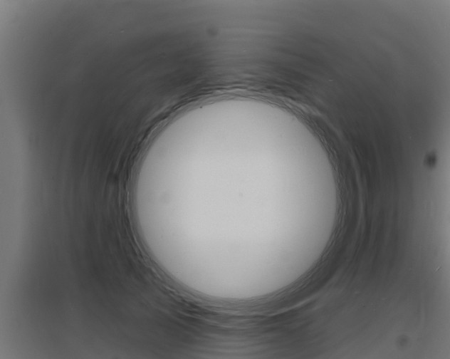 X0000097670705200802290946