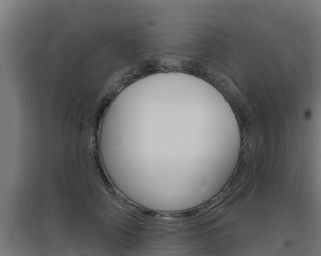X0000097670706200802290946