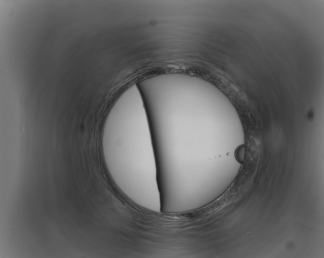 X0000097670707200802290946