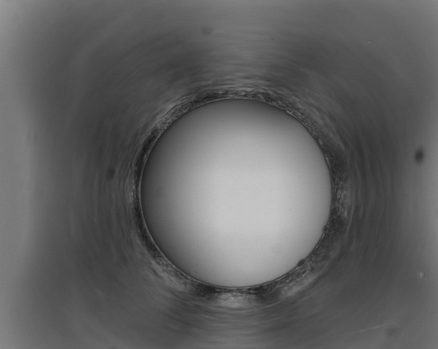 X0000097670708200802290946