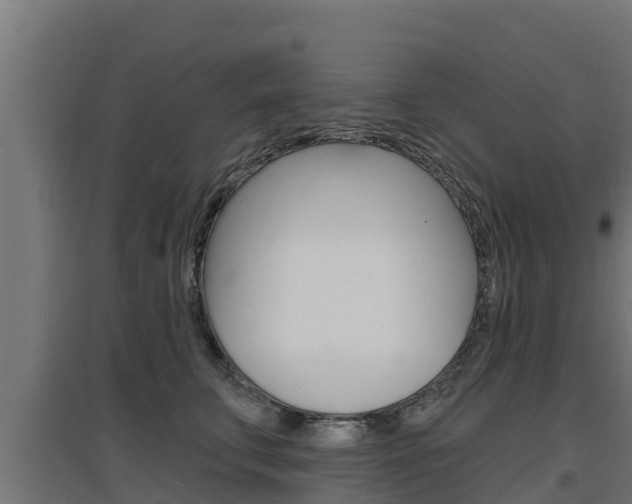 X0000097670711200802290946