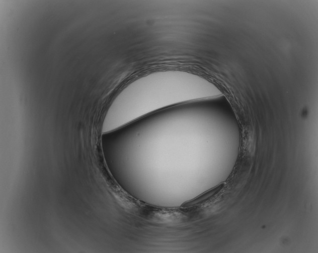 X0000097670712200802290946