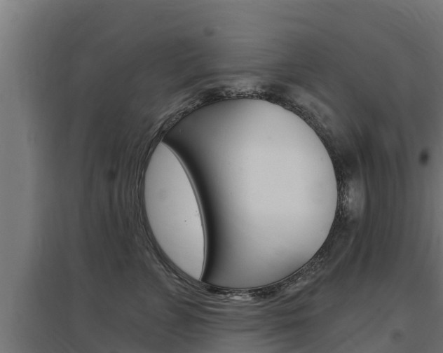 X0000097670715200802290946